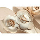 product variation Platino image