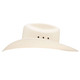 product variation RESISTOL 10X Hazer Natural Cowboy Hat (RSHAZE-304281) image