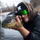 product variation Black w/ Amber Lens Green Mirror image