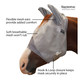 product variation w/ Ears image