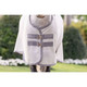 product variation HORSEWARE IRELAND Amigo Bug Rug Pony Silver/Titanium Grey/Silver Fly Sheet (AFRMGQ-IJI0) image