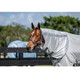 product variation HORSEWARE IRELAND Amigo Bug Rug XL Plus Silver/Titanium Grey/Silver Fly Sheet (AFRNXP-IJI0) image