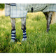 product variation HORSEWARE IRELAND Newmarket Witney Navy Fly Boots (DBHF11-VRKB) image