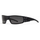 product variation Black w/Black Logo Frame / Smoke Non-Polar Lenses | VLT - 12% image