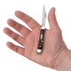 product variation CASE XX Peanut Jigged Brown Synthetic 2-Blade Pocket Knife (00046) image