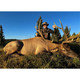 product variation 307 Winchester/308 Winchester image