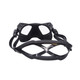product variation Open Box (Great condition, limited use): SALVIMAR Noah Black/Black Masks (7000BB) image