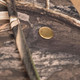 product variation Camo Mossy Oak Blades Habitat image