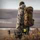 product variation Coyote image