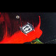 product variation w/ Viva 4-8.5 Bindings image