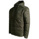 product variation Dark Forest image