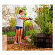 product variation Woodrose image