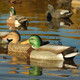 product variation AVERY 6 Pack of Life-Size Mallard Decoys (73004) image