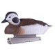 product variation AVERY Pro-Grade Foam Filled Long-Tailed Duck Decoys, 6-Pack (74027) image
