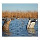 AVERY Pair of Over-Size Mallard Up Feeder Decoys (71000)