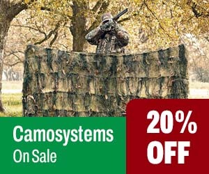 Camosystems - 20% OFF