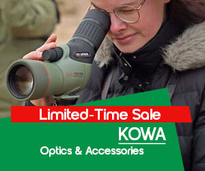 Graphic, person looking through green spotting scope outdoors, text, Shop KOWA Optics & Accessories now and save up