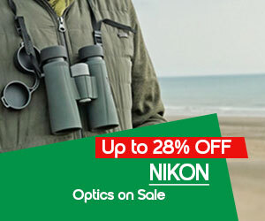 graphic, Nikon binoculars hanging from a neck strap outdoors, text, NIKON Optics on Sale