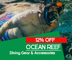 Graphic, snorkeler underwater near coral reef, text, Ocean Reef diving gear and accessories 12% off