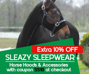 Graphic, horse wearing black hood in outdoor setting, text, SLEAZY SLEEPWEAR horse hoods extra 10% off with coupon SS10