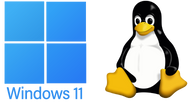 Windows vs Linux on a Toughbook: Pros, Cons & Real-World Performance