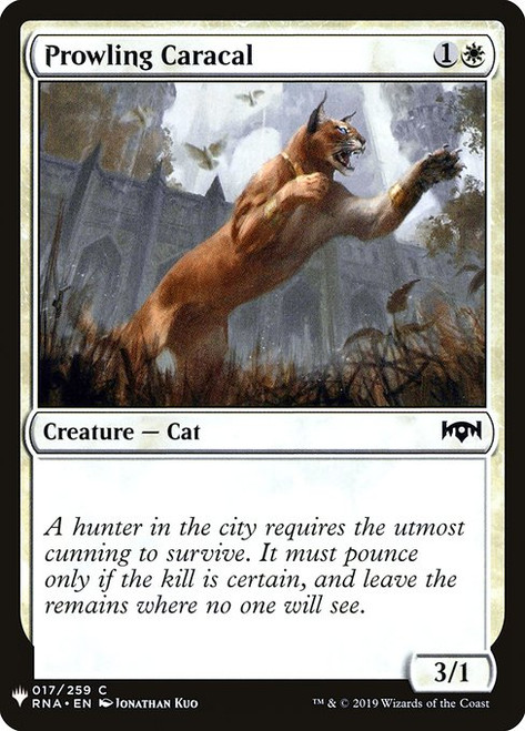 Prowling Caracal (PLST) (#RNA-17)