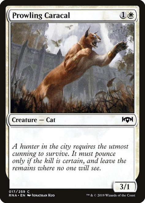 Prowling Caracal (RNA) (#17)