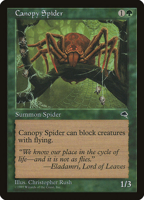 Canopy Spider (TMP) (#217)