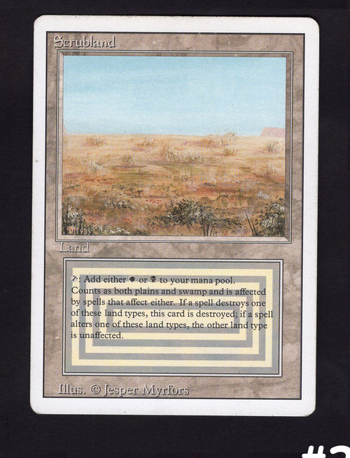 Scrubland (#363)