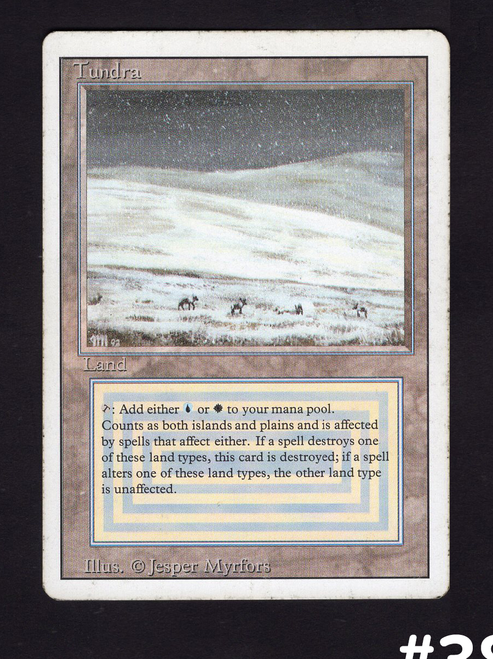 Tundra (#381)