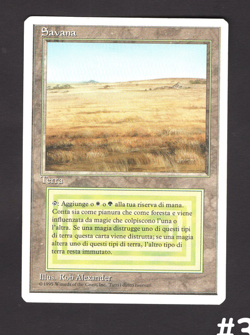 Savannah (#398)