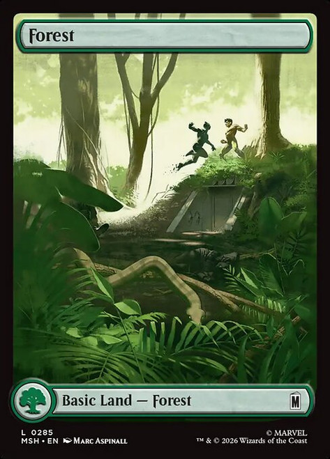 Forest (MSH) (Foil) (Full Art) (#285)