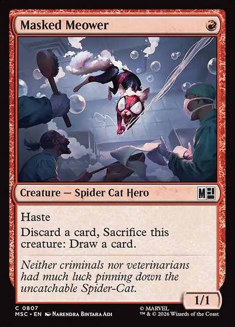 Masked Meower (MSC) (#807)