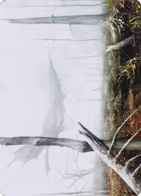 Swamp // Swamp (ADMU) (Foil) (Borderless) (#64)