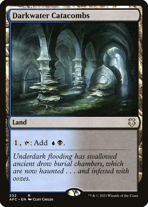 Darkwater Catacombs (AFC) (#232)
