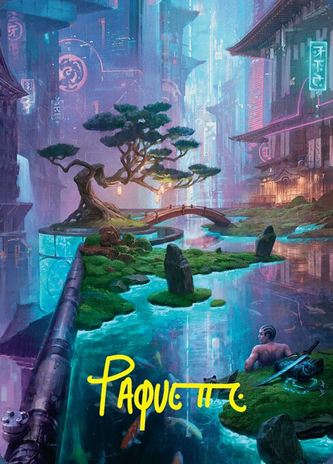 Island // Island (AFDN) (Foil) (Borderless) (#22)