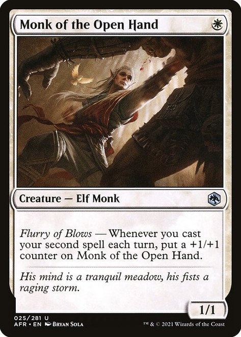 Monk of the Open Hand (AFR) (Foil) (#25)