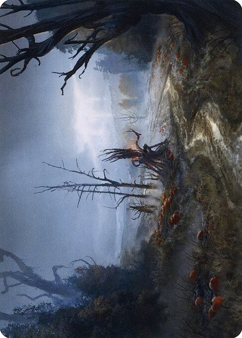 Overgrown Farmland // Overgrown Farmland (AMID) (Borderless) (#74)