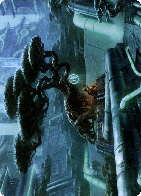 Forest // Forest (ANEO) (Borderless) (#44)