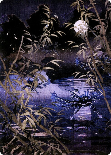 Swamp // Swamp (ANEO) (Borderless) (#81)