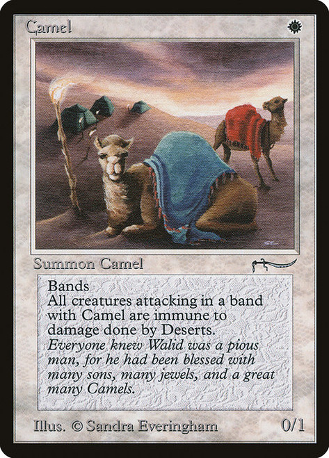 Camel (ARN) (#3)