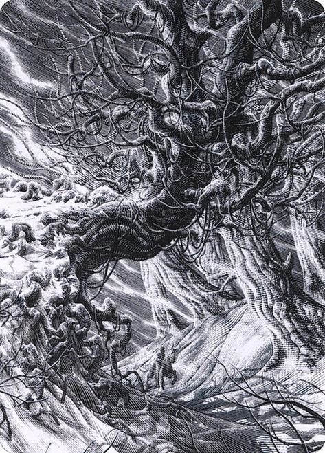 Forest // Forest (AVOW) (Borderless) (#81)