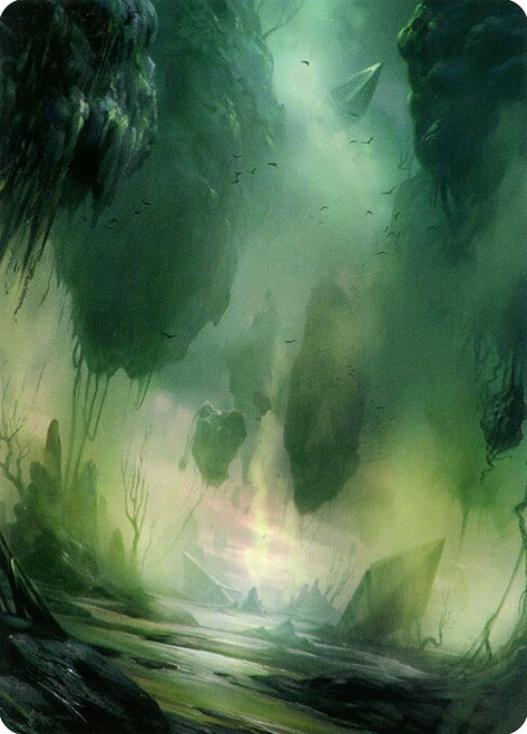 Swamp // Swamp (AZNR) (Foil) (Borderless) (#13)