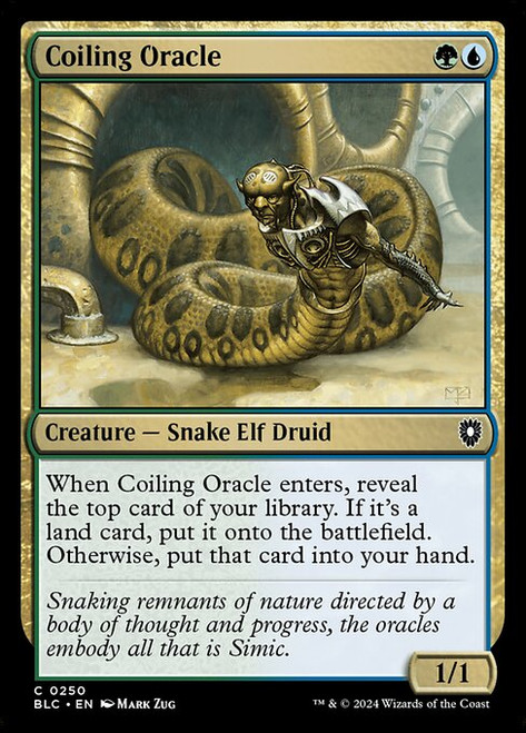 Coiling Oracle (BLC) (#250)