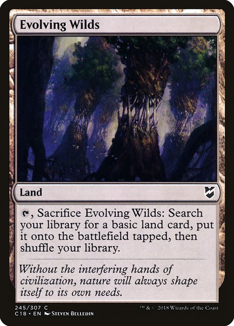 Evolving Wilds (C18) (#245)