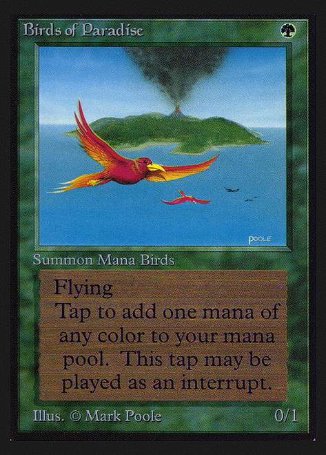 Birds of Paradise (CEI) (#187)