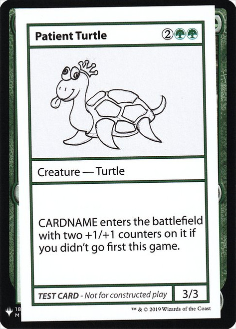 Patient Turtle (CMB1) (#82)