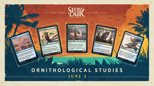 Secret Lair - Summer Super Drop - Ornithological Studies