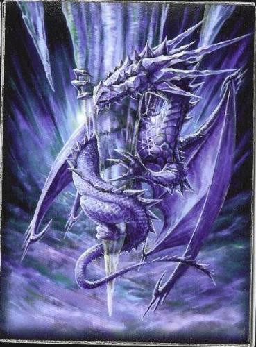 Max Protection Arctic Dragon Large Sleeves