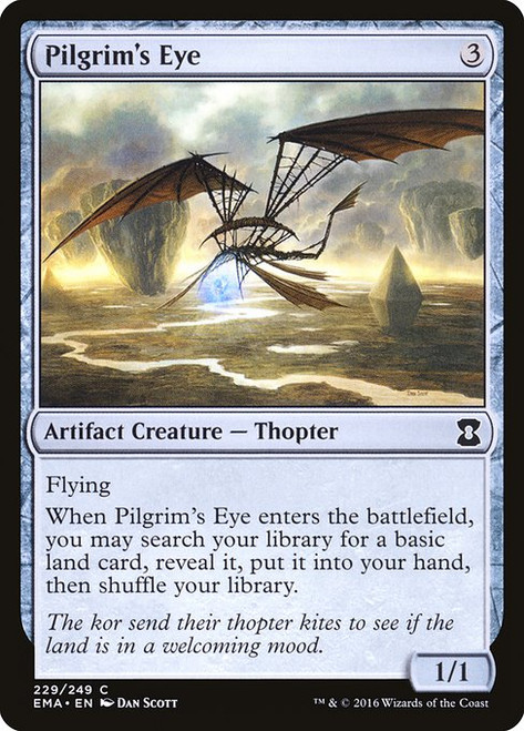 Pilgrim's Eye (EMA) (Foil) (#229)